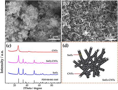 Synergistic Catalysis of SnO2-CNTs Composite for VO2+/VO2+ and V2+/V3+ Redox Reactions